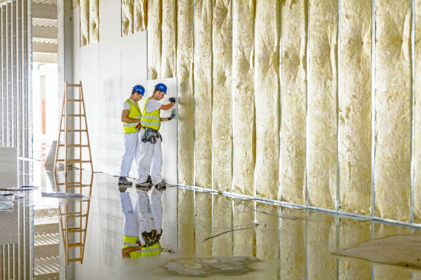 Best Insulation for Specific Applications in Colorado City, TX